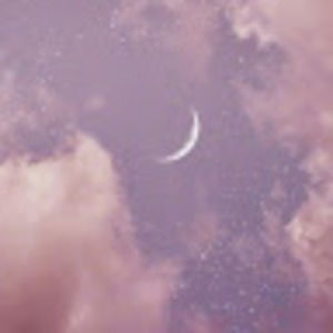 Meet your Posher, Perla